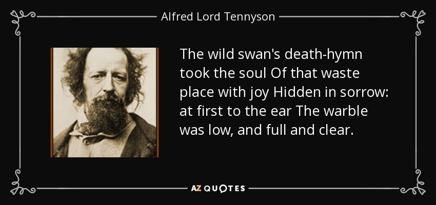 The wild swan's death-hymn took the soul Of that waste place with joy Hidden in sorrow: at first to the ear The warble was low, and full and clear. - Alfred Lord Tennyson