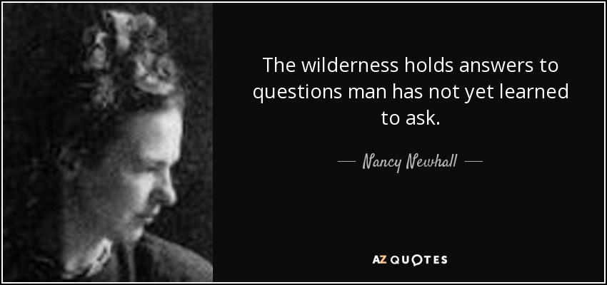 The wilderness holds answers to questions man has not yet learned to ask. - Nancy Newhall