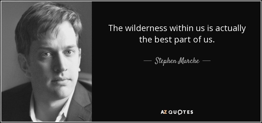 The wilderness within us is actually the best part of us. - Stephen Marche