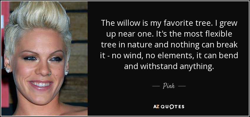The willow is my favorite tree. I grew up near one. It's the most flexible tree in nature and nothing can break it - no wind, no elements, it can bend and withstand anything. - Pink