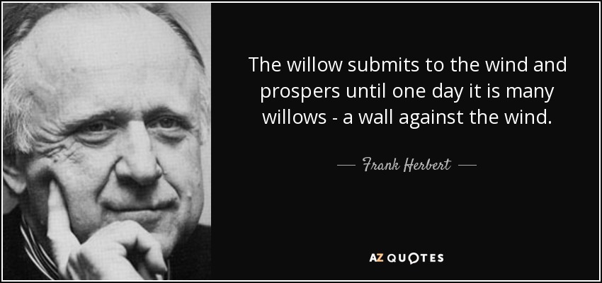 The willow submits to the wind and prospers until one day it is many willows - a wall against the wind. - Frank Herbert