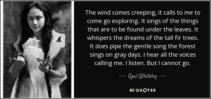 The wind comes creeping, it calls to me to come go exploring. It sings of the things that are to be found under the leaves. It whispers the dreams of the tall fir trees. It does pipe the gentle song the forest sings on gray days. I hear all the voices calling me. I listen. But I cannot go. - Opal Whiteley