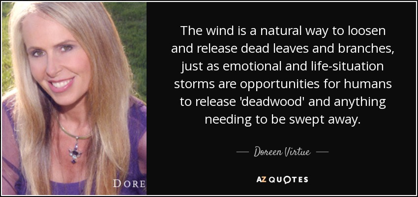 The wind is a natural way to loosen and release dead leaves and branches, just as emotional and life-situation storms are opportunities for humans to release 'deadwood' and anything needing to be swept away. - Doreen Virtue