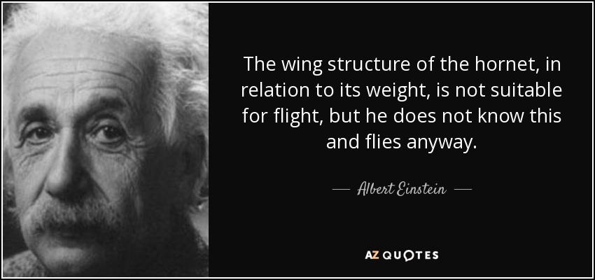 The wing structure of the hornet, in relation to its weight, is not suitable for flight, but he does not know this and flies anyway. - Albert Einstein