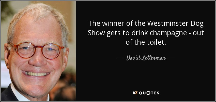The winner of the Westminster Dog Show gets to drink champagne - out of the toilet. - David Letterman