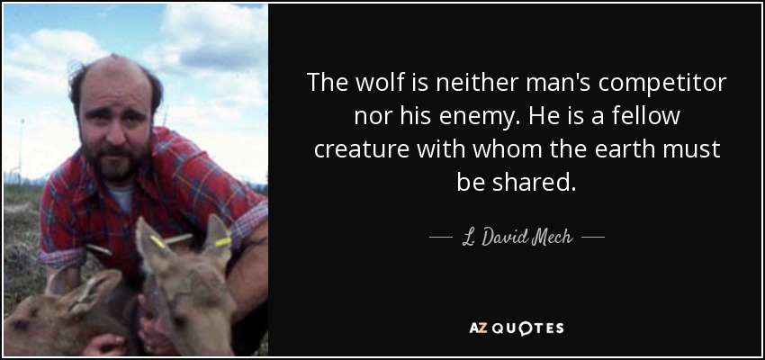The wolf is neither man's competitor nor his enemy. He is a fellow creature with whom the earth must be shared. - L. David Mech