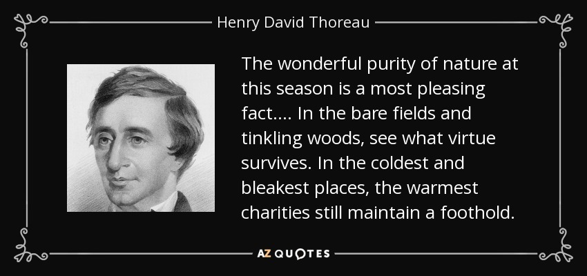 The wonderful purity of nature at this season is a most pleasing fact.... In the bare fields and tinkling woods, see what virtue survives. In the coldest and bleakest places, the warmest charities still maintain a foothold. - Henry David Thoreau