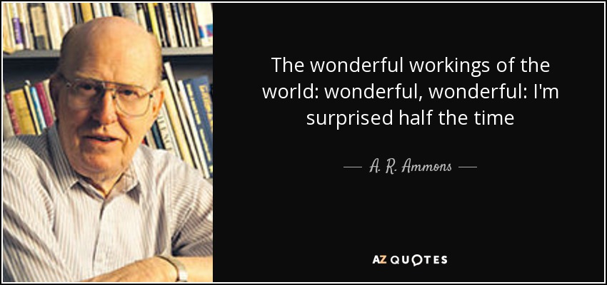 The wonderful workings of the world: wonderful, wonderful: I'm surprised half the time - A. R. Ammons