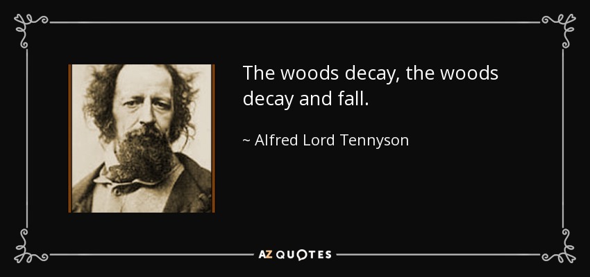 The woods decay, the woods decay and fall. - Alfred Lord Tennyson