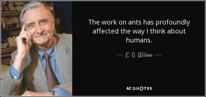 The work on ants has profoundly affected the way I think about humans. - E. O. Wilson