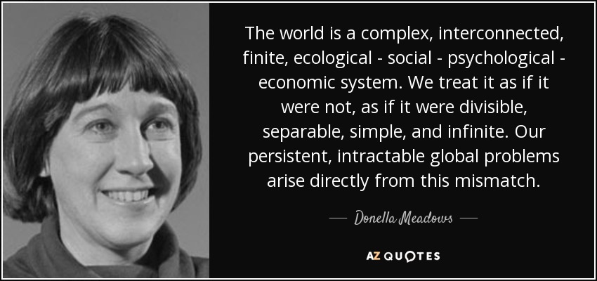 The world is a complex, interconnected, finite, ecological - social - psychological - economic system. We treat it as if it were not, as if it were divisible, separable, simple, and infinite. Our persistent, intractable global problems arise directly from this mismatch. - Donella Meadows