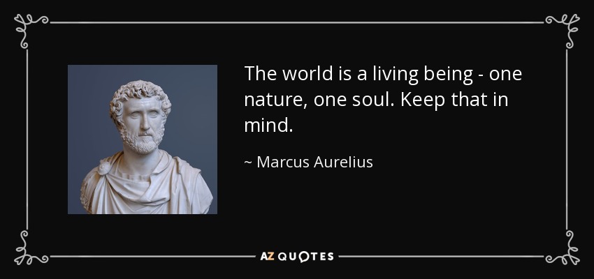 The world is a living being - one nature, one soul. Keep that in mind. - Marcus Aurelius
