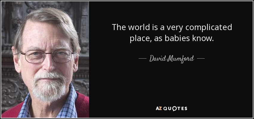 The world is a very complicated place, as babies know. - David Mumford