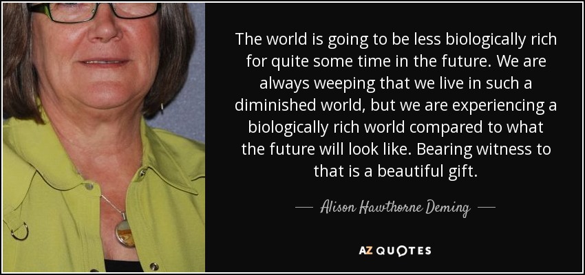 The world is going to be less biologically rich for quite some time in the future. We are always weeping that we live in such a diminished world, but we are experiencing a biologically rich world compared to what the future will look like. Bearing witness to that is a beautiful gift. - Alison Hawthorne Deming
