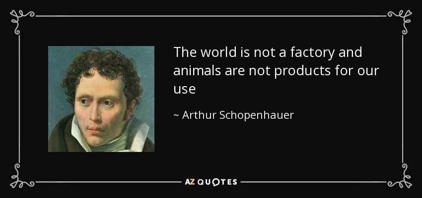 The world is not a factory and animals are not products for our use - Arthur Schopenhauer