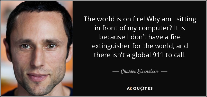 The world is on fire! Why am I sitting in front of my computer? It is because I don’t have a fire extinguisher for the world, and there isn’t a global 911 to call. - Charles Eisenstein