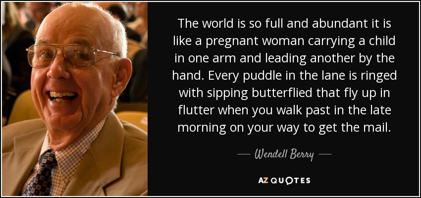 The world is so full and abundant it is like a pregnant woman carrying a child in one arm and leading another by the hand. Every puddle in the lane is ringed with sipping butterflied that fly up in flutter when you walk past in the late morning on your way to get the mail. - Wendell Berry