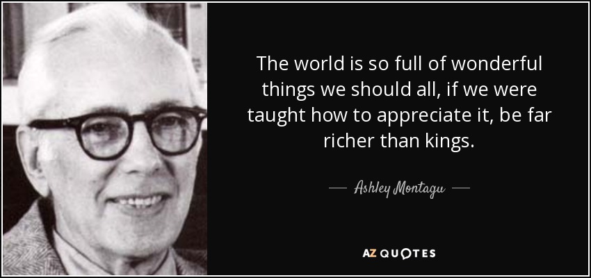The world is so full of wonderful things we should all, if we were taught how to appreciate it, be far richer than kings. - Ashley Montagu