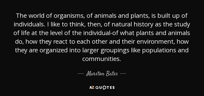 The world of organisms, of animals and plants, is built up of individuals. I like to think, then, of natural history as the study of life at the level of the individual-of what plants and animals do, how they react to each other and their environment, how they are organized into larger groupings like populations and communities. - Marston Bates