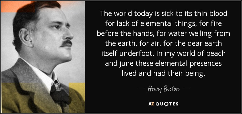 The world today is sick to its thin blood for lack of elemental things, for fire before the hands, for water welling from the earth, for air, for the dear earth itself underfoot. In my world of beach and june these elemental presences lived and had their being. - Henry Beston