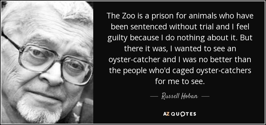 The Zoo is a prison for animals who have been sentenced without trial and I feel guilty because I do nothing about it. But there it was, I wanted to see an oyster-catcher and I was no better than the people who'd caged oyster-catchers for me to see. - Russell Hoban