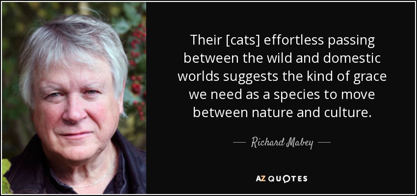 Their [cats] effortless passing between the wild and domestic worlds suggests the kind of grace we need as a species to move between nature and culture. - Richard Mabey