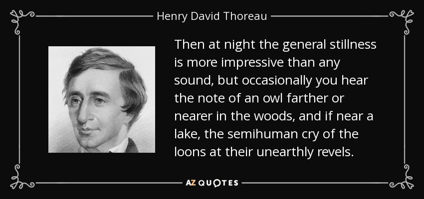 Then at night the general stillness is more impressive than any sound, but occasionally you hear the note of an owl farther or nearer in the woods, and if near a lake, the semihuman cry of the loons at their unearthly revels. - Henry David Thoreau