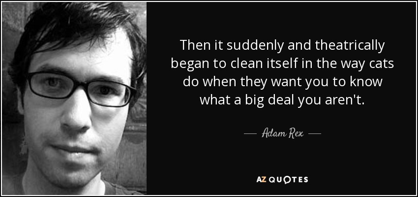 Then it suddenly and theatrically began to clean itself in the way cats do when they want you to know what a big deal you aren't. - Adam Rex