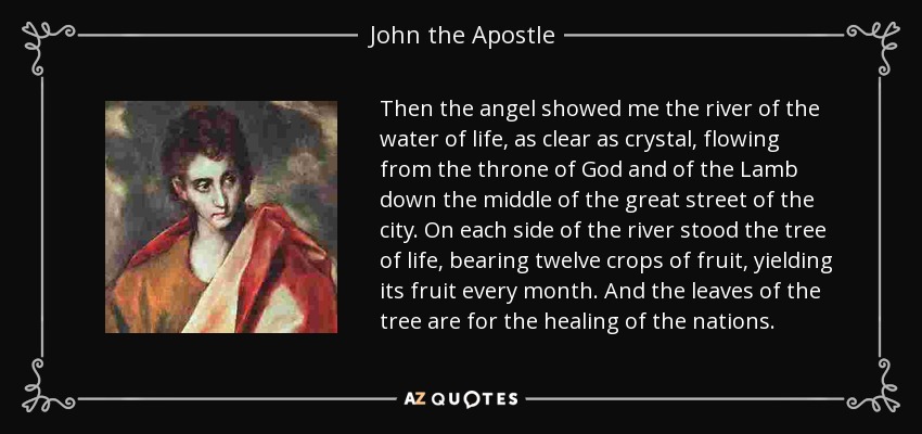 Then the angel showed me the river of the water of life, as clear as crystal, flowing from the throne of God and of the Lamb down the middle of the great street of the city. On each side of the river stood the tree of life, bearing twelve crops of fruit, yielding its fruit every month. And the leaves of the tree are for the healing of the nations. - John the Apostle