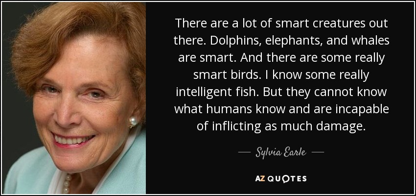 There are a lot of smart creatures out there. Dolphins, elephants, and whales are smart. And there are some really smart birds. I know some really intelligent fish. But they cannot know what humans know and are incapable of inflicting as much damage. - Sylvia Earle