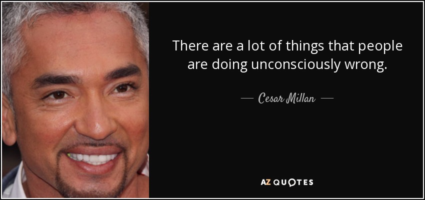 There are a lot of things that people are doing unconsciously wrong. - Cesar Millan