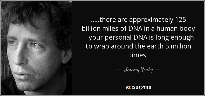 .....there are approximately 125 billion miles of DNA in a human body -- your personal DNA is long enough to wrap around the earth 5 million times. - Jeremy Narby