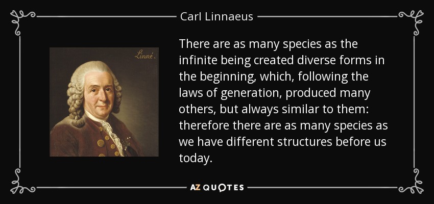 There are as many species as the infinite being created diverse forms in the beginning, which, following the laws of generation, produced many others, but always similar to them: therefore there are as many species as we have different structures before us today. - Carl Linnaeus