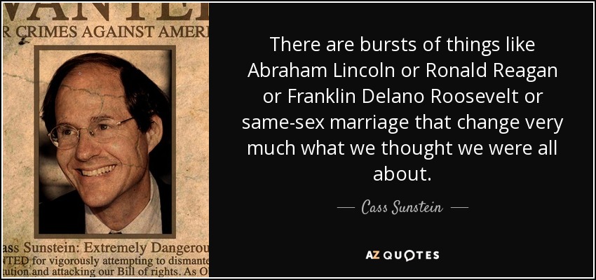 There are bursts of things like Abraham Lincoln or Ronald Reagan or Franklin Delano Roosevelt or same-sex marriage that change very much what we thought we were all about. - Cass Sunstein