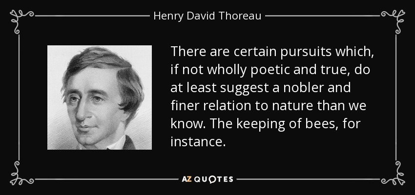 There are certain pursuits which, if not wholly poetic and true, do at least suggest a nobler and finer relation to nature than we know. The keeping of bees, for instance. - Henry David Thoreau