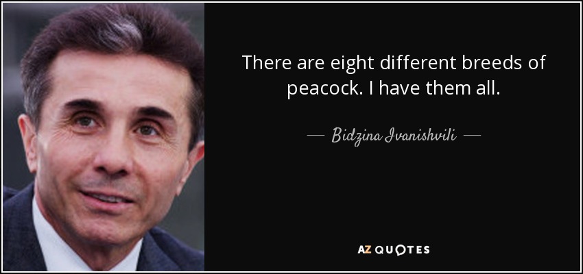 There are eight different breeds of peacock. I have them all. - Bidzina Ivanishvili