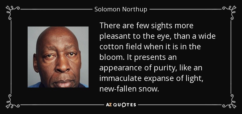 There are few sights more pleasant to the eye, than a wide cotton field when it is in the bloom. It presents an appearance of purity, like an immaculate expanse of light, new-fallen snow. - Solomon Northup