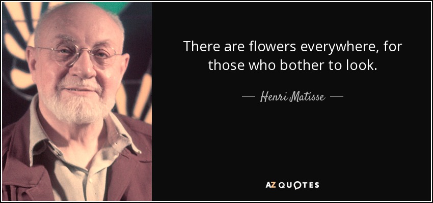 There are flowers everywhere, for those who bother to look. - Henri Matisse