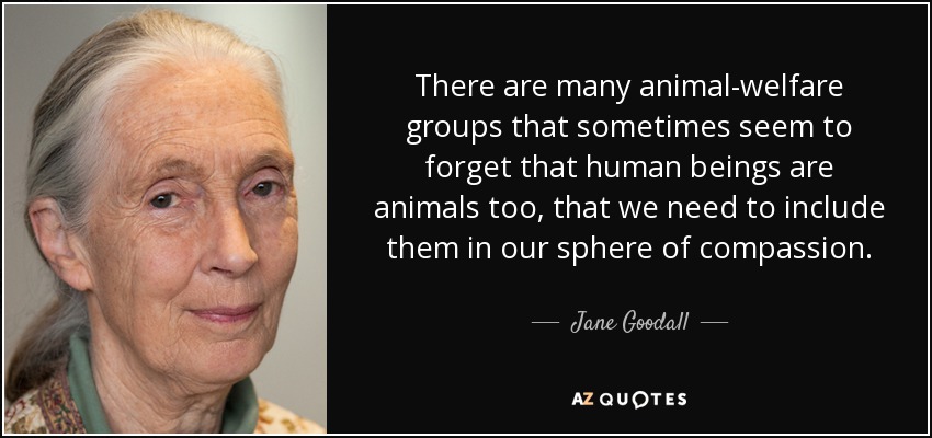 Jane Goodall quote: There are many animal-welfare groups that sometimes  seem to forget...