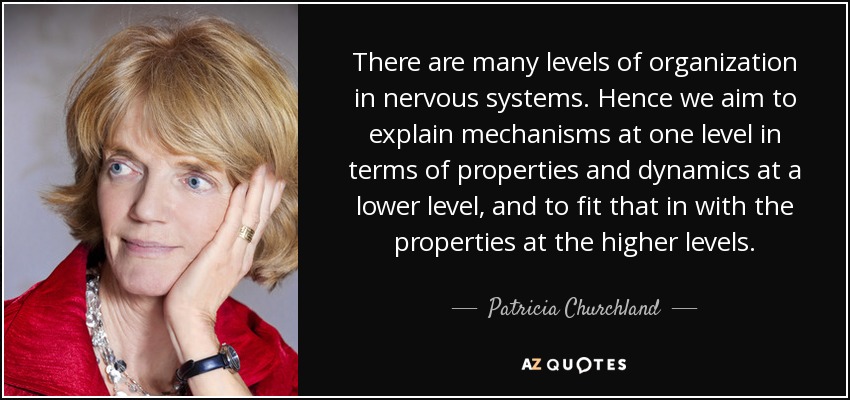 There are many levels of organization in nervous systems. Hence we aim to explain mechanisms at one level in terms of properties and dynamics at a lower level, and to fit that in with the properties at the higher levels. - Patricia Churchland
