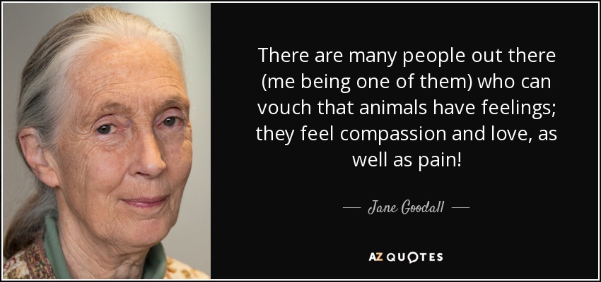There are many people out there (me being one of them) who can vouch that animals have feelings; they feel compassion and love, as well as pain! - Jane Goodall