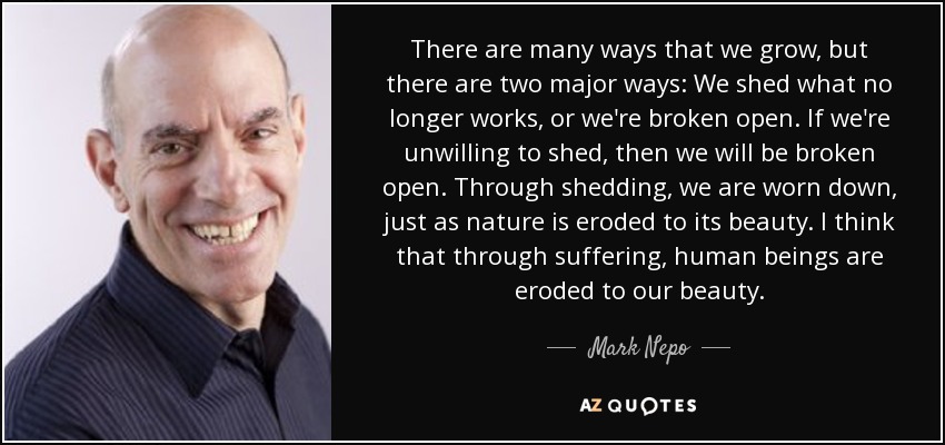 There are many ways that we grow, but there are two major ways: We shed what no longer works, or we're broken open. If we're unwilling to shed, then we will be broken open. Through shedding, we are worn down, just as nature is eroded to its beauty. I think that through suffering, human beings are eroded to our beauty. - Mark Nepo