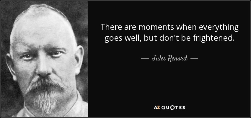 There are moments when everything goes well, but don't be frightened. - Jules Renard