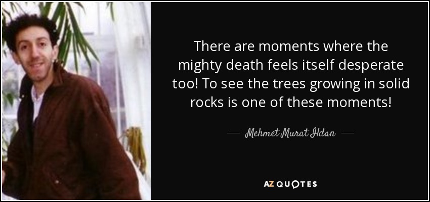 There are moments where the mighty death feels itself desperate too! To see the trees growing in solid rocks is one of these moments! - Mehmet Murat Ildan
