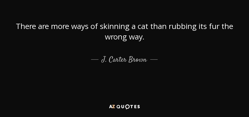 There are more ways of skinning a cat than rubbing its fur the wrong way. - J. Carter Brown