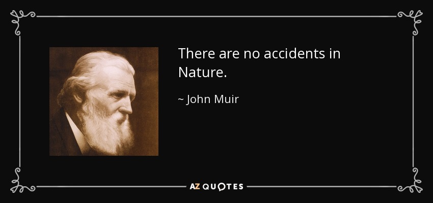 There are no accidents in Nature. - John Muir