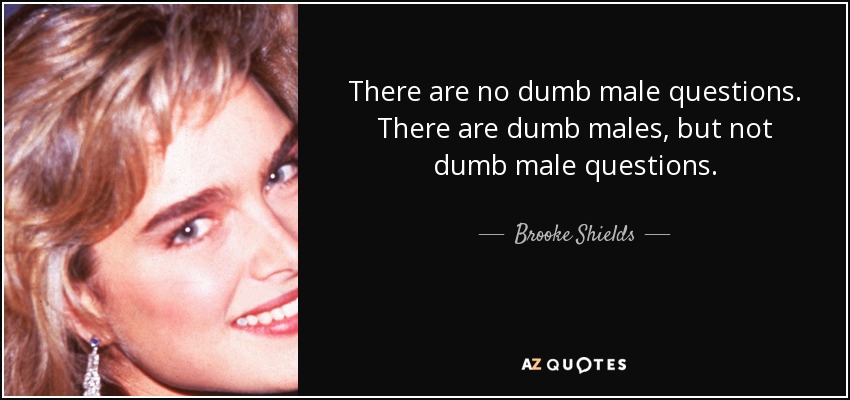 There are no dumb male questions. There are dumb males, but not dumb male questions. - Brooke Shields