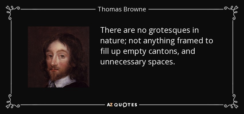 There are no grotesques in nature; not anything framed to fill up empty cantons, and unnecessary spaces. - Thomas Browne