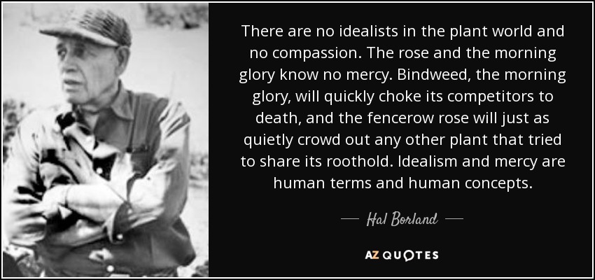 There are no idealists in the plant world and no compassion. The rose and the morning glory know no mercy. Bindweed, the morning glory, will quickly choke its competitors to death, and the fencerow rose will just as quietly crowd out any other plant that tried to share its roothold. Idealism and mercy are human terms and human concepts. - Hal Borland