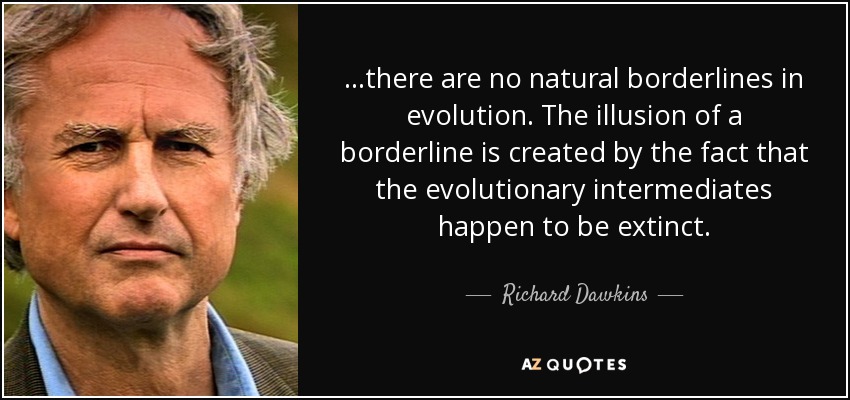 ...there are no natural borderlines in evolution. The illusion of a borderline is created by the fact that the evolutionary intermediates happen to be extinct. - Richard Dawkins